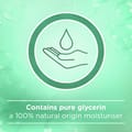 Anti-bacterial Micellar Hand Wash, Mint, 300 ml