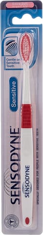 Silver Antibacterial ToothBrush - Silver