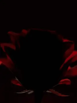 ذا بالم طقم روج ميني 6 الوان# V03