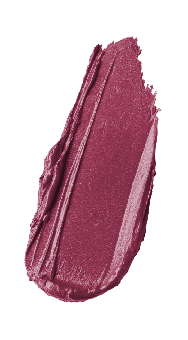 WET N WILD Rich Satin Lip Color-3gr
