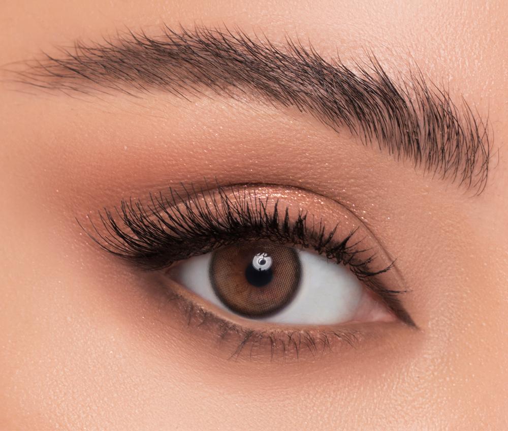 Linda Color Contact Lens - Latte