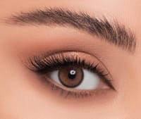 Linda Color Contact Lens - Latte