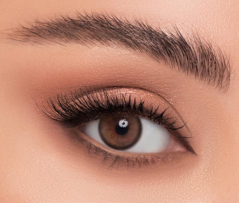 Linda Color Contact Lens - Latte