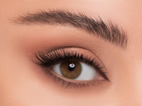 Linda Color Contact Lens - Amber