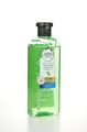 Herbal Aloe Sham Bambo 6*400 ml