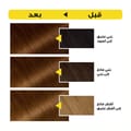 Olia, 5.3 Golden Brown, No Ammonia Permanent Haircolor, with 60% Oils