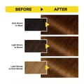 Olia, 5.3 Golden Brown, No Ammonia Permanent Haircolor, with 60% Oils