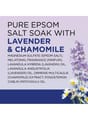 Dr Teal’S Salt Melatonin Sleep 1360G