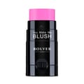 Bolver Hydrating Sold Cheek Tint Hs05