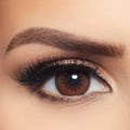 Layala Daily Color Contact Lens - Brown