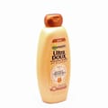 Garnier UD Shmpo Hony 700Ml