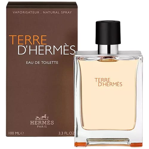 Hermes Terre D'Hermes For Men Eau De Toilette 100ml
