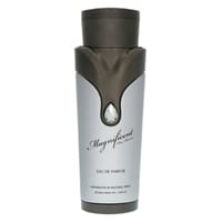 Armaf Magnificent Pour Homme For Men Eau De Parfum 100ml