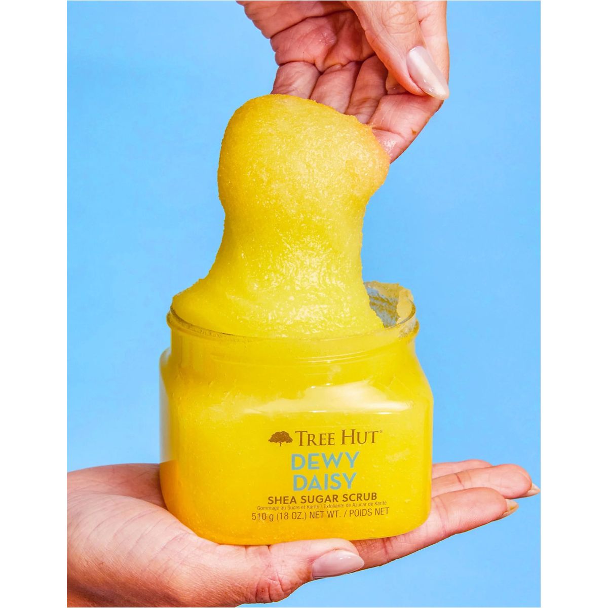 مقشر السكر بالشيا وزهرة الأقحوان