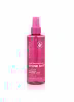 Professional Straightening Iron Mist 200Ml