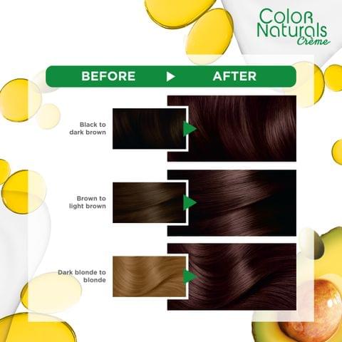 Olia, 4.0 Dark Brown, No Ammonia Permanent Haircolor, with 60% Oils