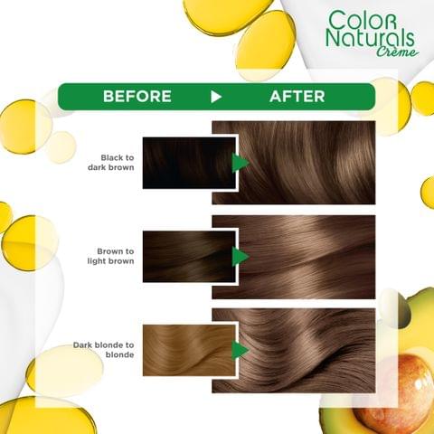PUREDERM HAIR COLOR TREATMENT GREEN