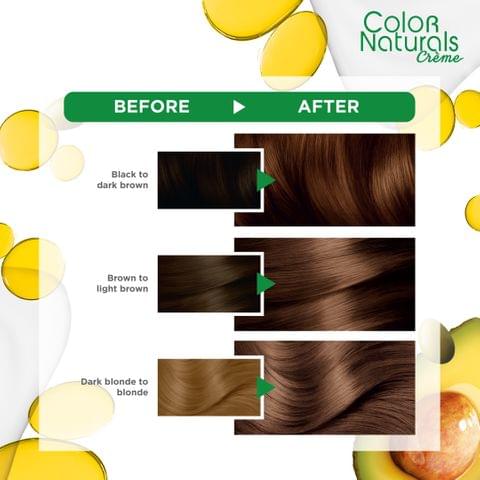 Olia, 4.0 Dark Brown, No Ammonia Permanent Haircolor, with 60% Oils